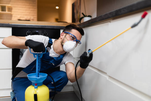 Best Termite Control Services  in De Pue, IL