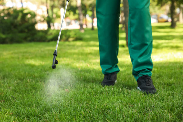 Best Pest Prevention Services  in De Pue, IL
