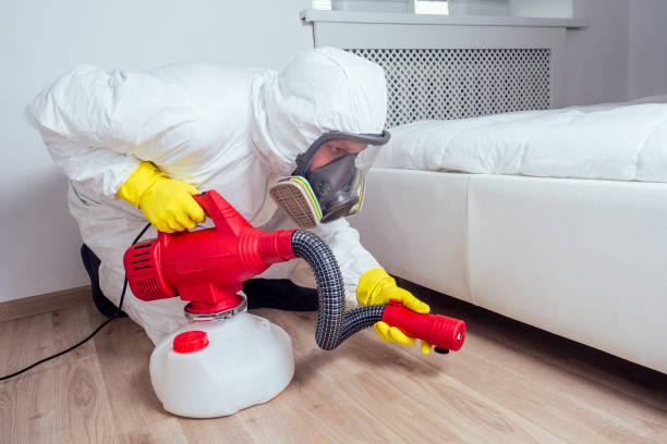 Best Local Pest Control Services  in De Pue, IL