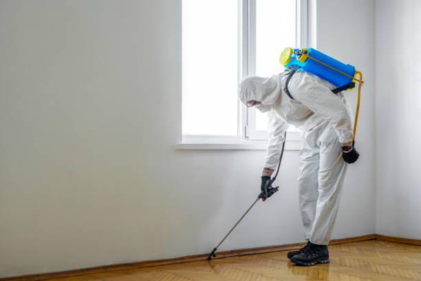 Best Pest Prevention Services  in De Pue, IL