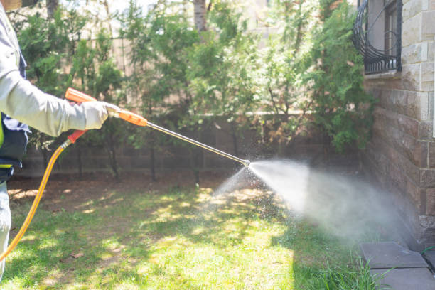 Best Pest Control Near Me  in De Pue, IL