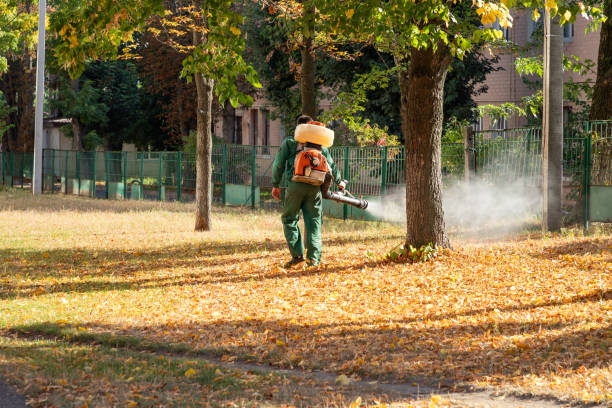  De Pue, IL Pest Control Pros