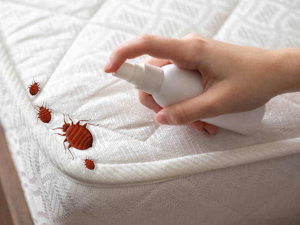 Best Exterminator Services  in De Pue, IL
