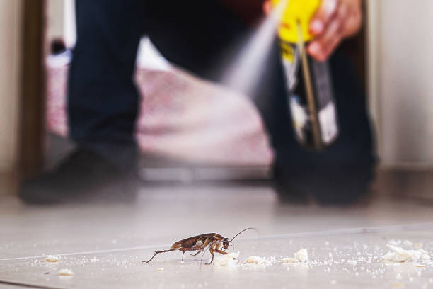 Best Pest Removal Services  in De Pue, IL