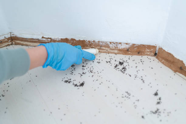 Reliable De Pue, IL Pest Control Solutions