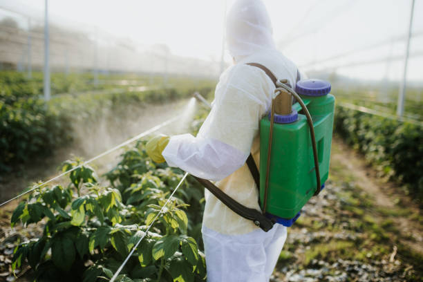 Best Pest Removal Services  in De Pue, IL